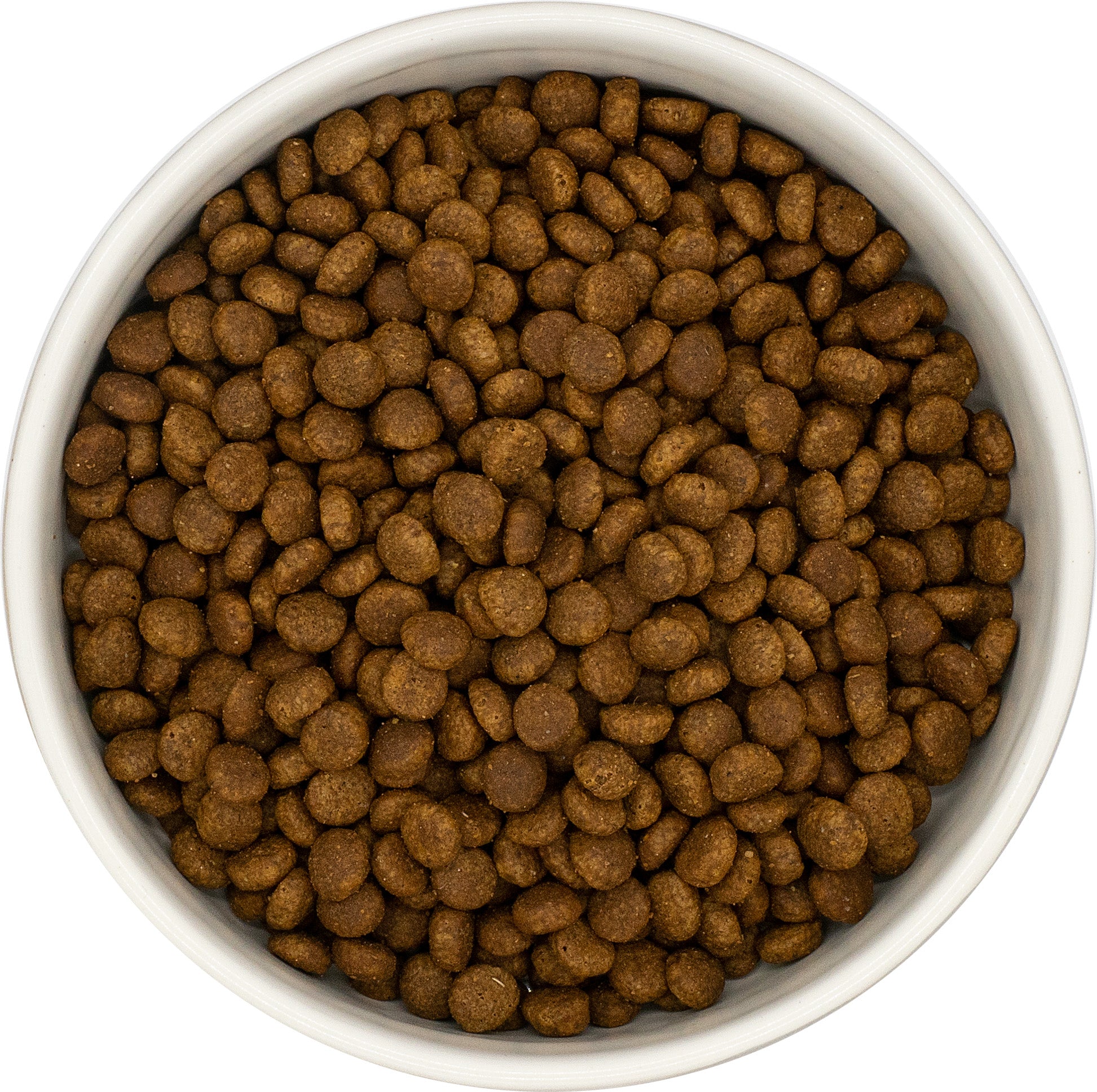 Gamme Connoisseur Cat Chaton Dinde et poulet 5kg