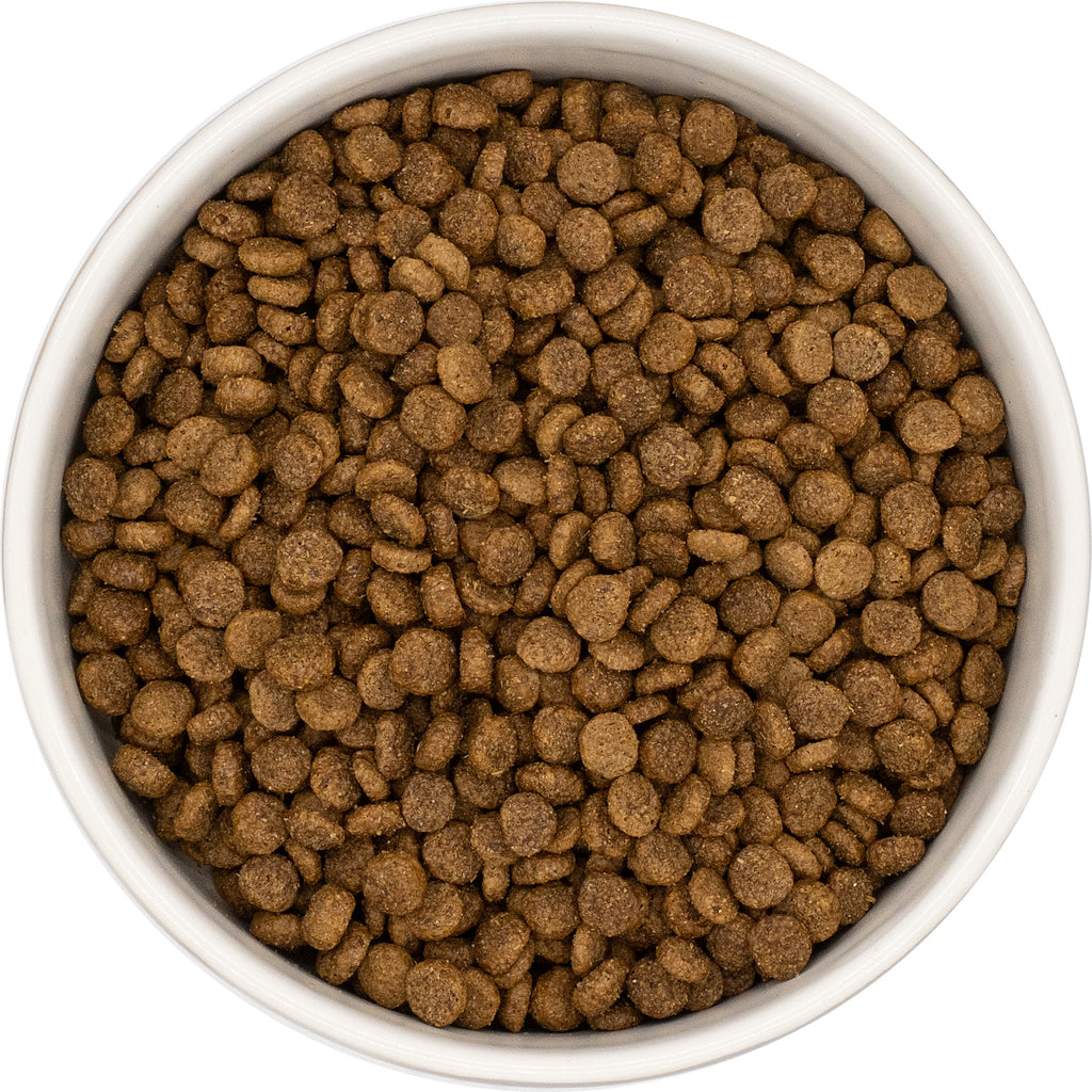 Gamme Super Premium Chien adulte Petite race Poulet avec du riz 6kg