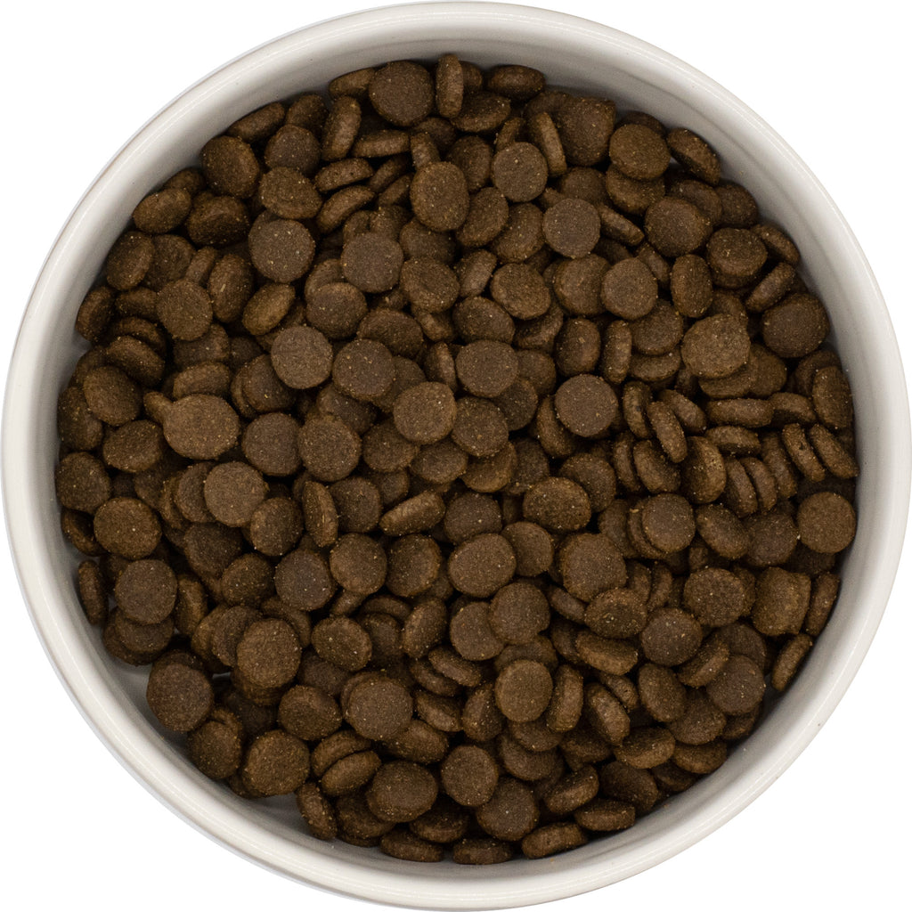 Gamme Super Premium Chat adulte Saumon et poulet avec du riz 6kg